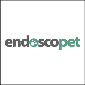 Prancheta 1 copy 8@2x