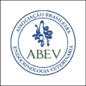 Prancheta 1 copy 9@2x